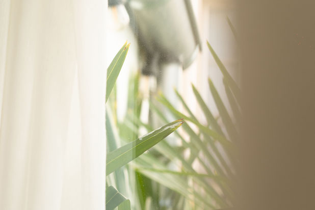 Détail intérieur-renovation-atelier_loft-Paris