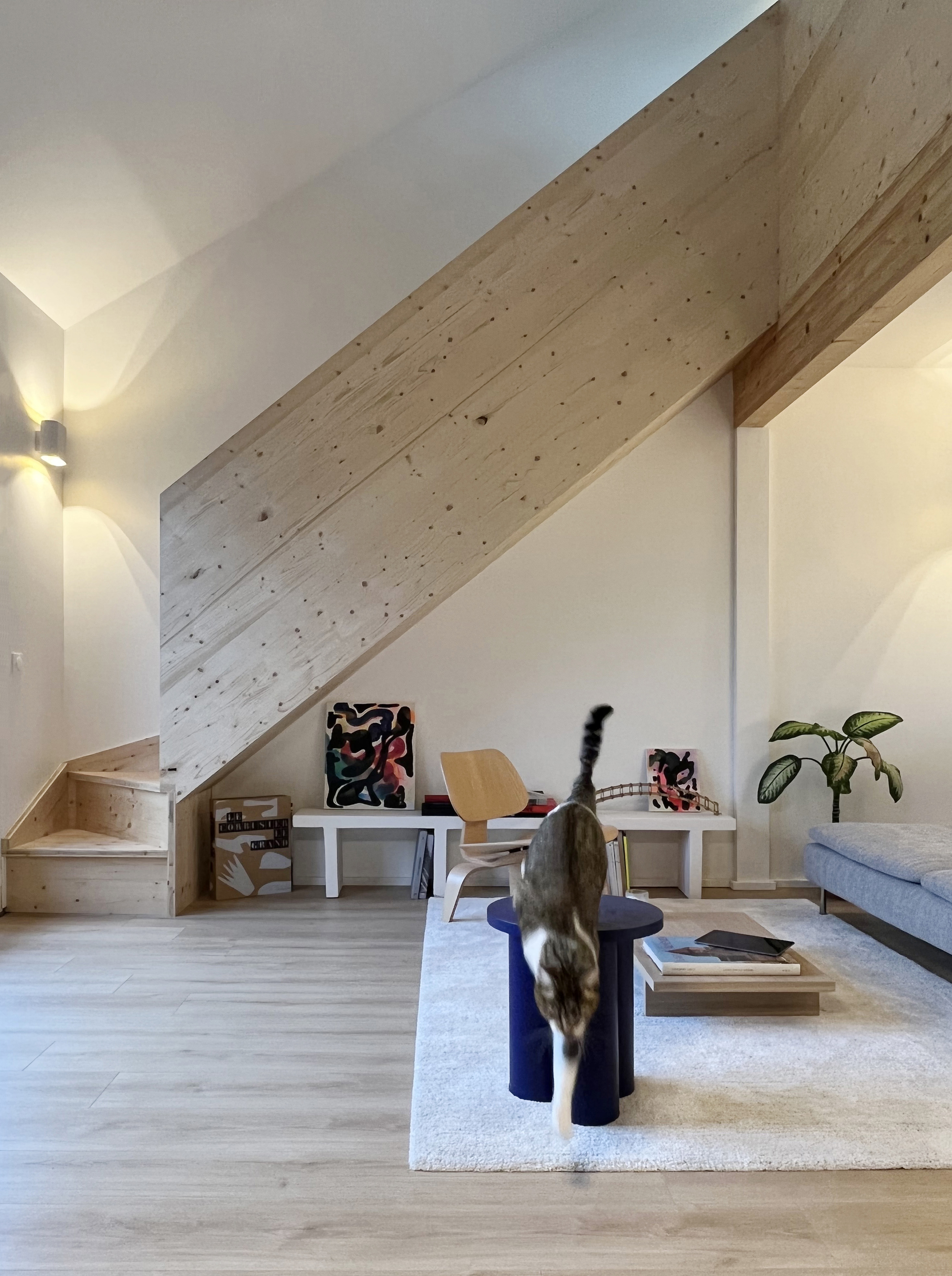 Maison Elias Howe – extension de maison Haute-Savoie