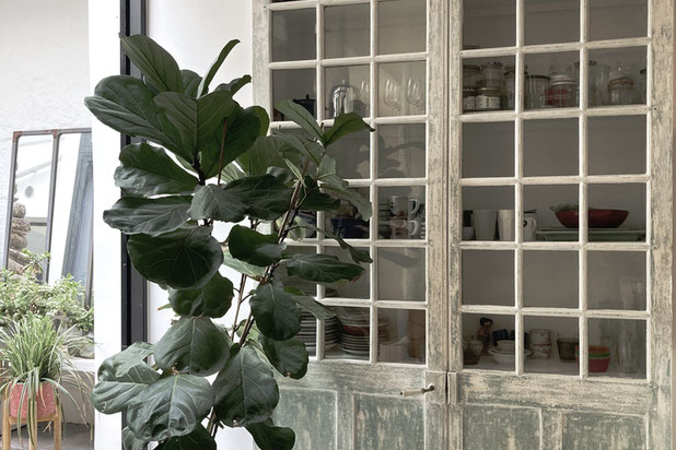 vaissellier-rehabilitation-appartement-Paris