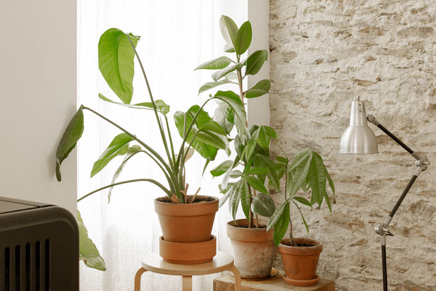 salon-rehabilitation-maison-Nantes