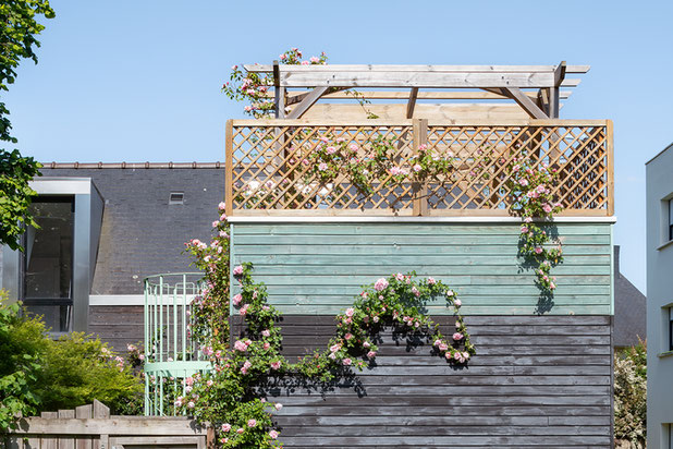 Vue d'ensemble des rosiers en façade.-agrandissement_extension-maison-Rennes