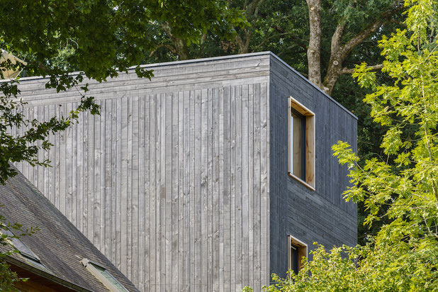 Dans les arbres-construction-maison-Auray