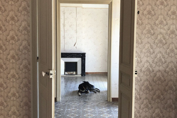 Rénovation SC-renovation-maison-Lespignan
