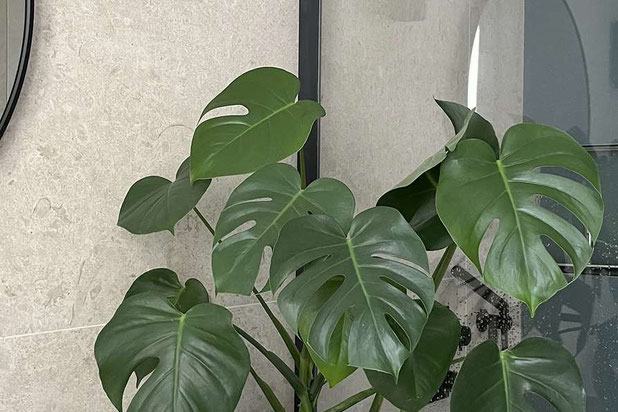 détail-renovation-appartement-Paris