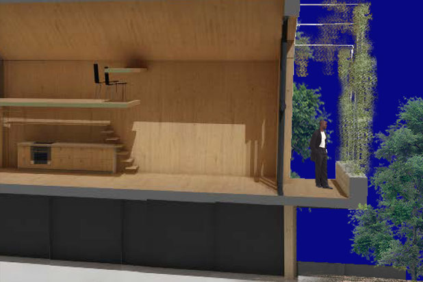 Le studio et la façade végétalisé.-surelevation-maison-Champigny-sur-Marne