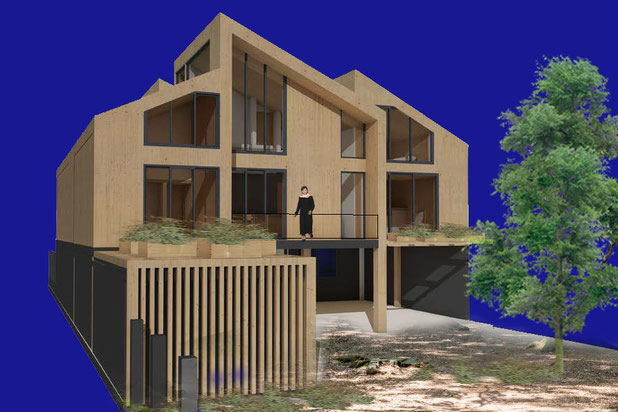 Vue des le jardin.-surelevation-maison-Champigny-sur-Marne
