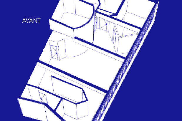 3d - Vue génèral  avant -après-rehabilitation-atelier_loft-Paris