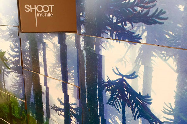 Vue des boîtes en carton avec une image de la fôret chilien-amenagement-cafe_restaurant-Cannes