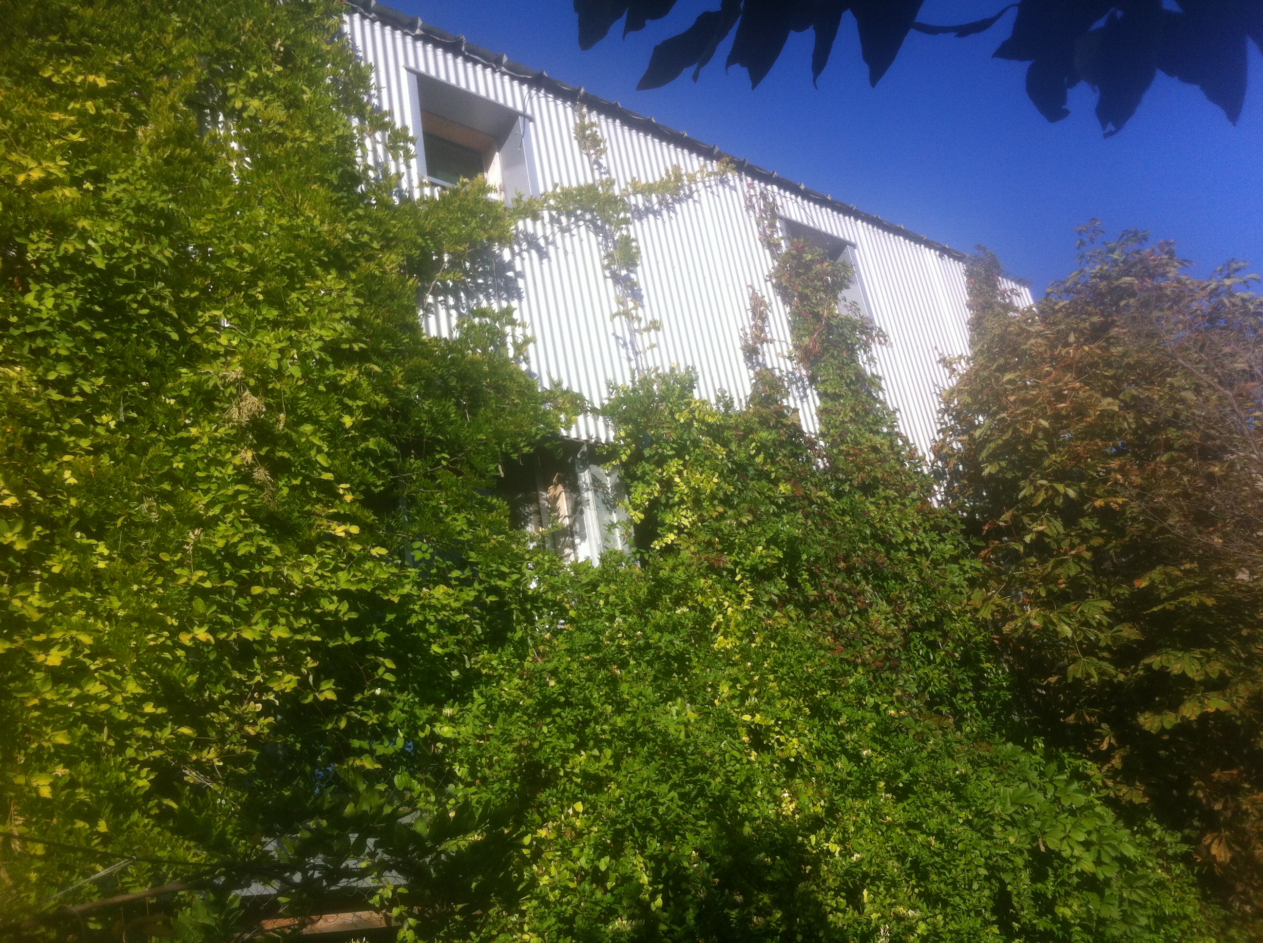 Beauregard - maison, individuelle – construction de maison neuve Charente-Maritime Beauregard - maison, individuelle – construction de maison neuve Charente-Maritime