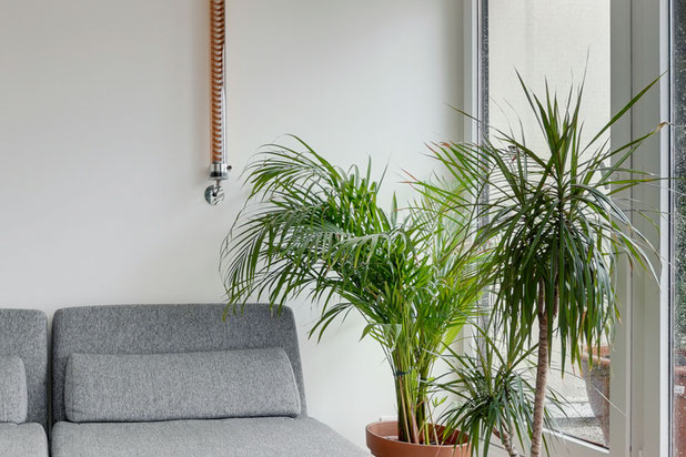 SALON-renovation-appartement-Paris