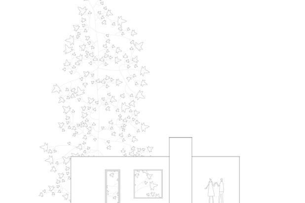 La maison autour de l'arbre-construction-maison-Héric