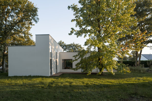 La maison autour de l'arbre-construction-maison-Héric