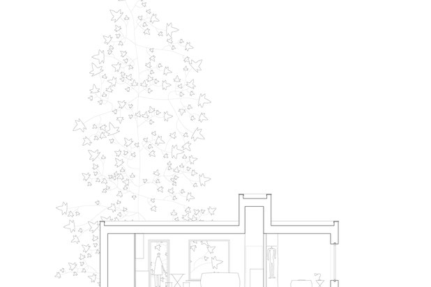 La maison autour de l'arbre-construction-maison-Héric