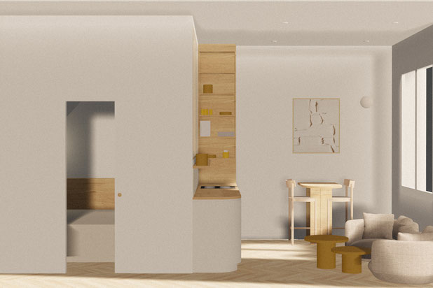 Vue globale-rehabilitation-appartement-Paris