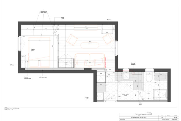Plan projeté-renovation-appartement-Paris