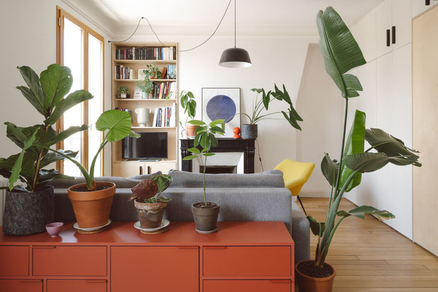 Séjour-renovation-appartement-Paris