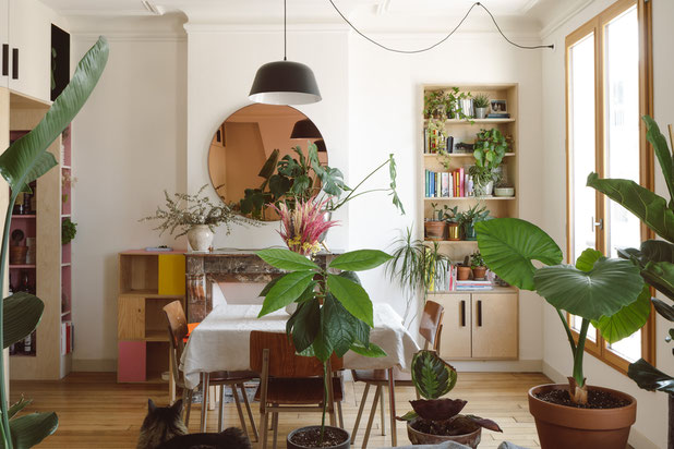Séjour-renovation-appartement-Paris