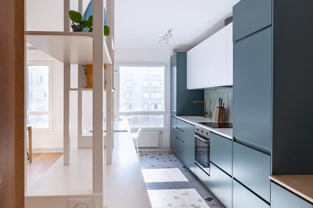 cuisine 2-renovation-appartement-Paris