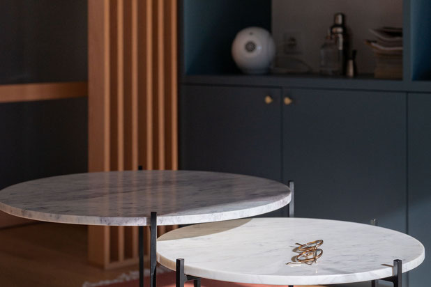 zoom salon-renovation-appartement-Paris