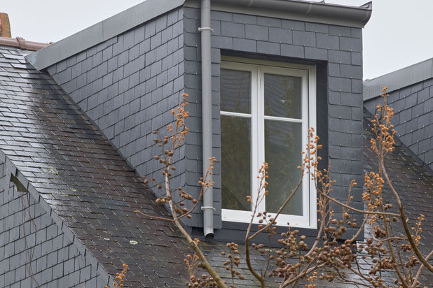 Chien assis Nord-rehabilitation-maison-Nantes