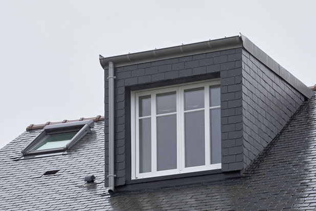 Chien assis Sud-rehabilitation-maison-Nantes