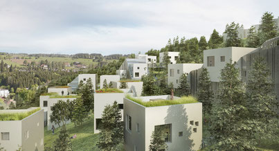 Photo d'un projet de Construction Logement à La Chaux-de-Fonds