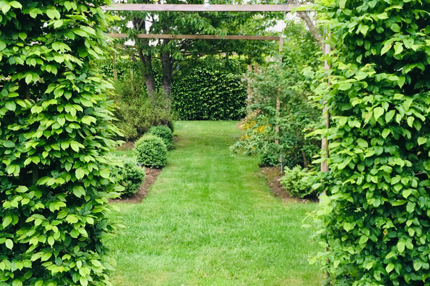 Allée de l'espace potager-amenagement-espaces_exts-Château-Thierry