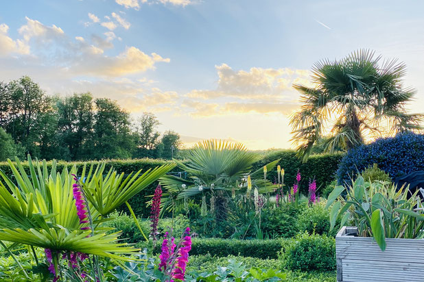 Carrés plantés-amenagement-espaces_exts-Château-Thierry