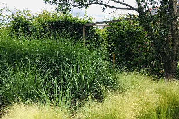Carrés plantés-amenagement-espaces_exts-Château-Thierry