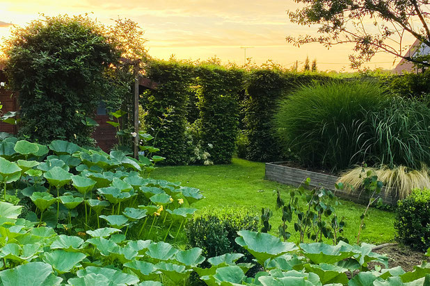 Espace potager-amenagement-espaces_exts-Château-Thierry