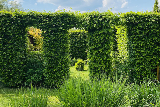 Mur végétal-amenagement-espaces_exts-Château-Thierry