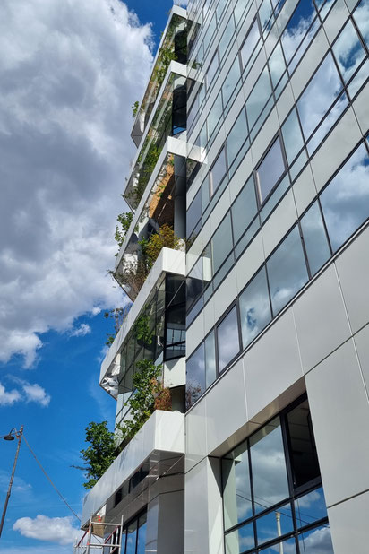 Façade sur rue-renovation-bureaux-Montrouge