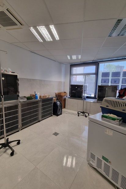 Chenil-amenagement-equipement-Maisons-Alfort