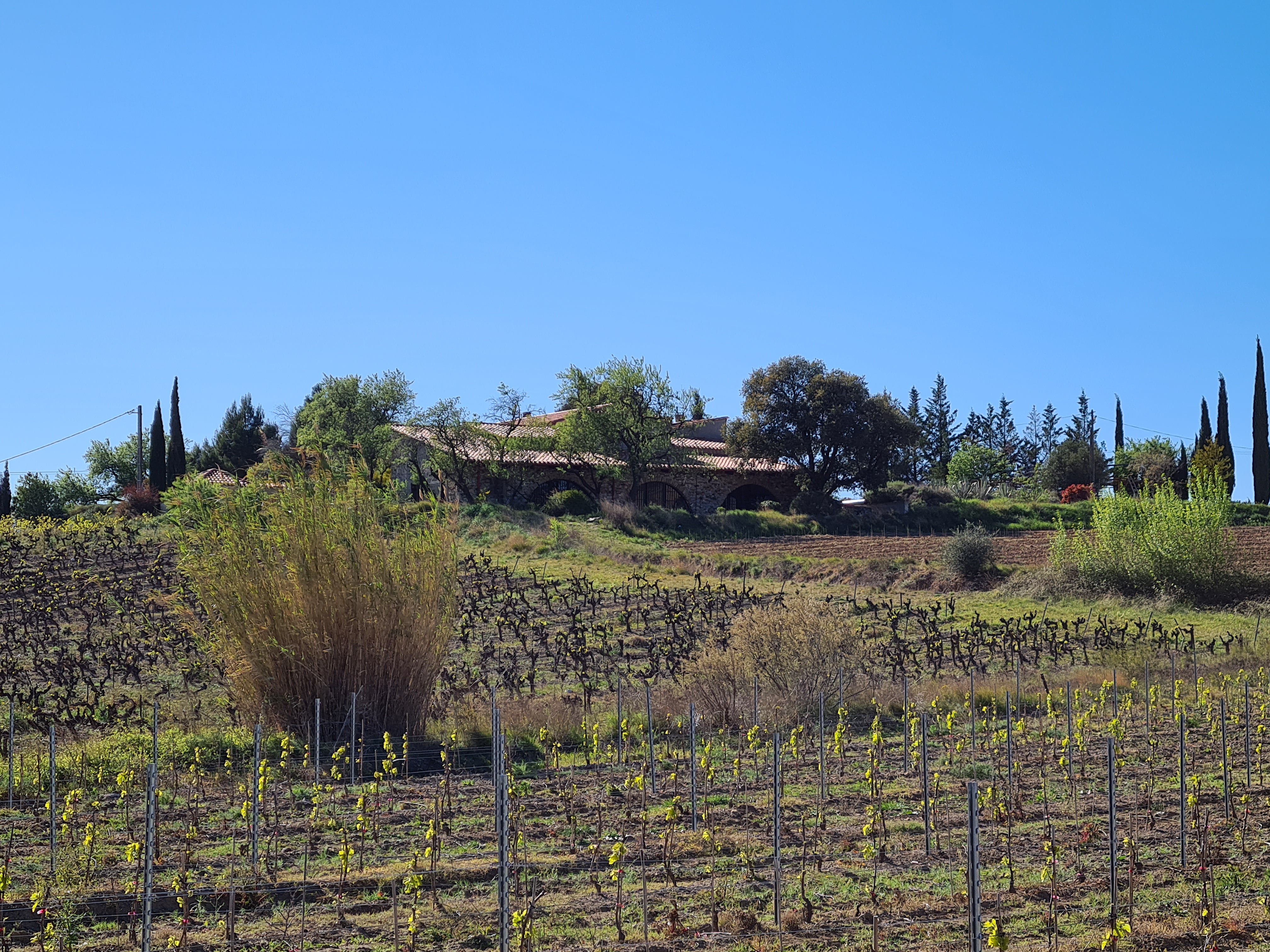 MAS D'EN SIMON – rénovation de maison Tarn MAS D'EN SIMON – rénovation de maison Tarn