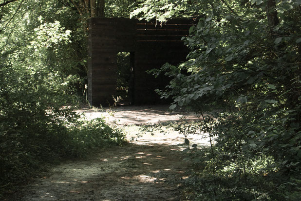 CABANE - AUTO-CONSTRUCTION - FAVERGES, ANNECY-construction-equipement-Annecy