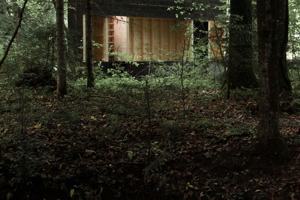CABANE - AUTO-CONSTRUCTION - FAVERGES, ANNECY-construction-equipement-Annecy