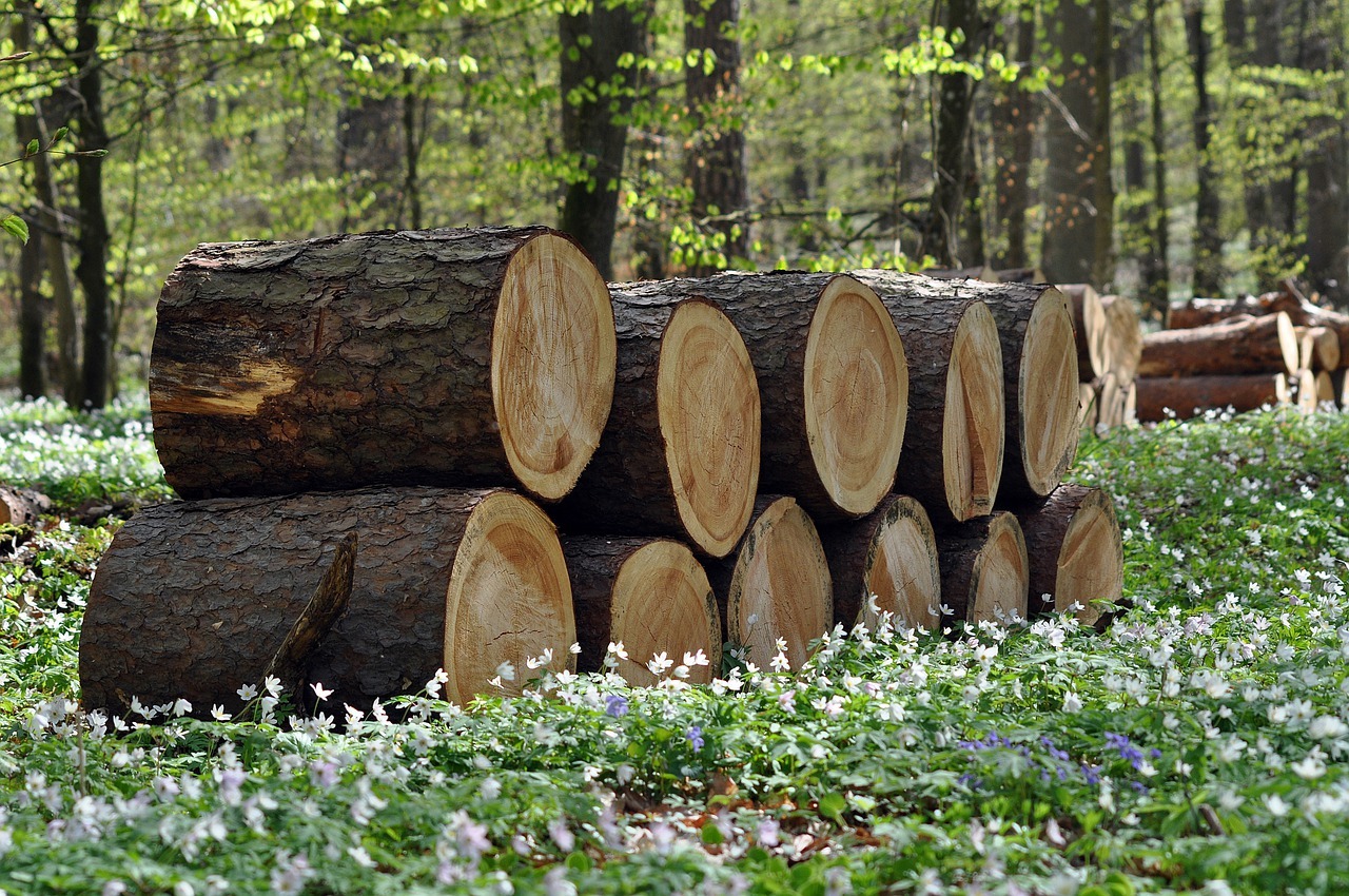 Comment Stocker Du Bois De Chauffage