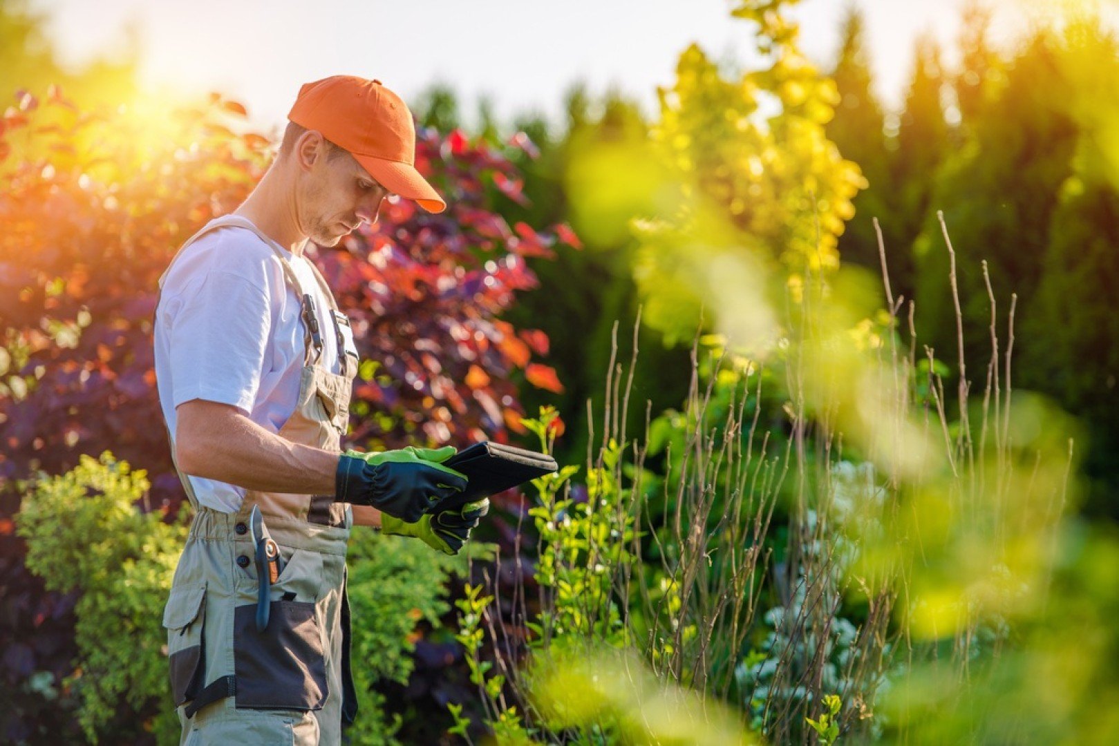 Les métiers de l’agriculture et de la biodiversité