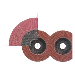 Lamellenslijpschijf cora-disc 270 115 - 60