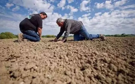 FRANCE : Une sécheresse alarmante menace l'agriculture, l'industrie et le quotidien des Français