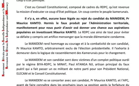 RÉACTION DE ANICET EKANE APRÈS LE REJET DE LA CANDIDATURE DE MAURICE KAMTO PAR LE CONSEIL CONSTITUTIONNEL