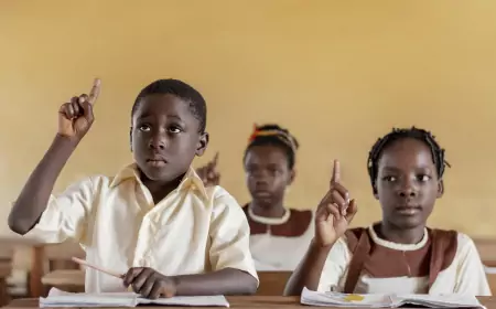 Éducation au Cameroun : 154 Établissements Scolaires Fermés par le MINESEC !