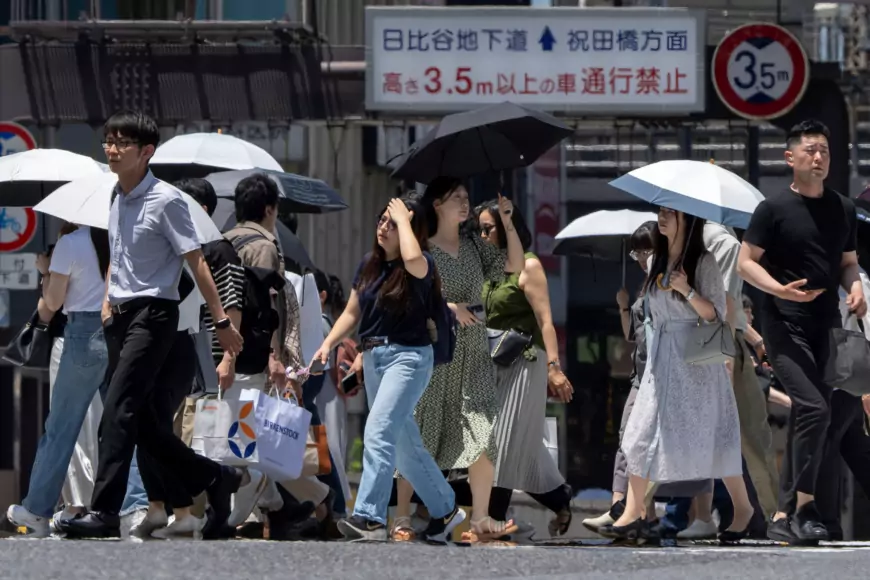 Canicule meurtrière au Japon : plus de 9 500 hospitalisations en une semaine
