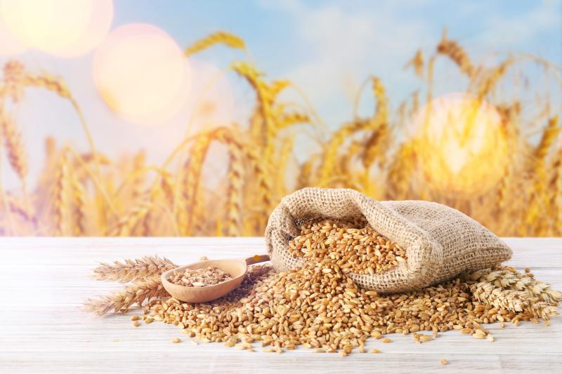 Stijgende graanprijzen: bakker voelt impact pas later