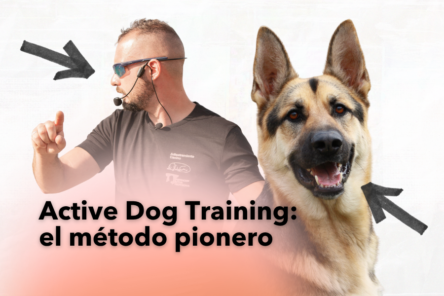 Active Dog Training: el método pionero para formarte como adiestrador canino