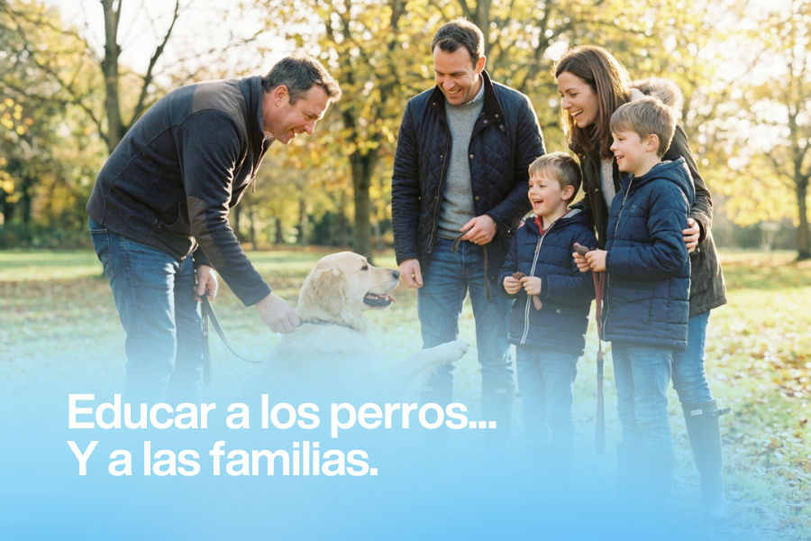 Adiestramiento Canino: cuando educar al perro también significa trabajar con las personas