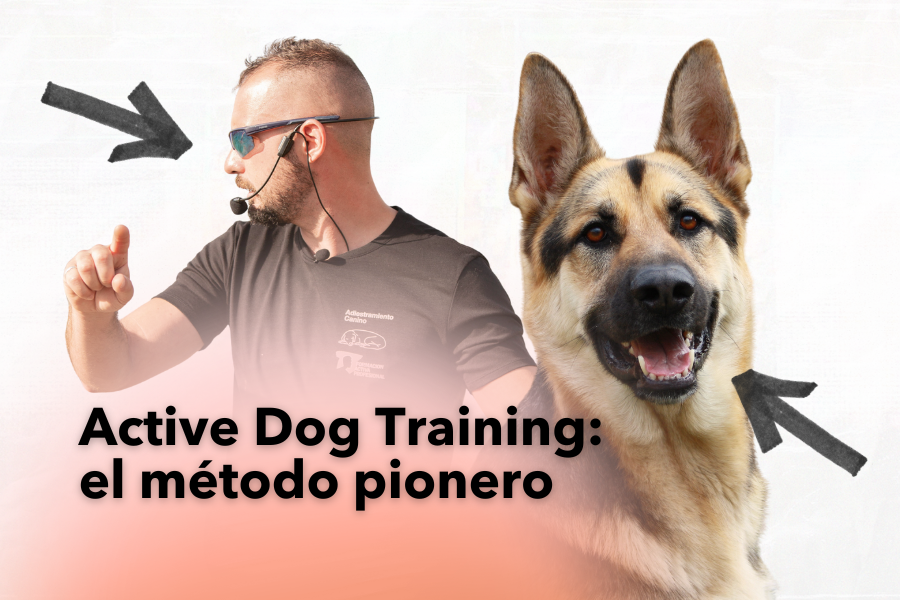 Active Dog Training: el método pionero para formarte como adiestrador canino
