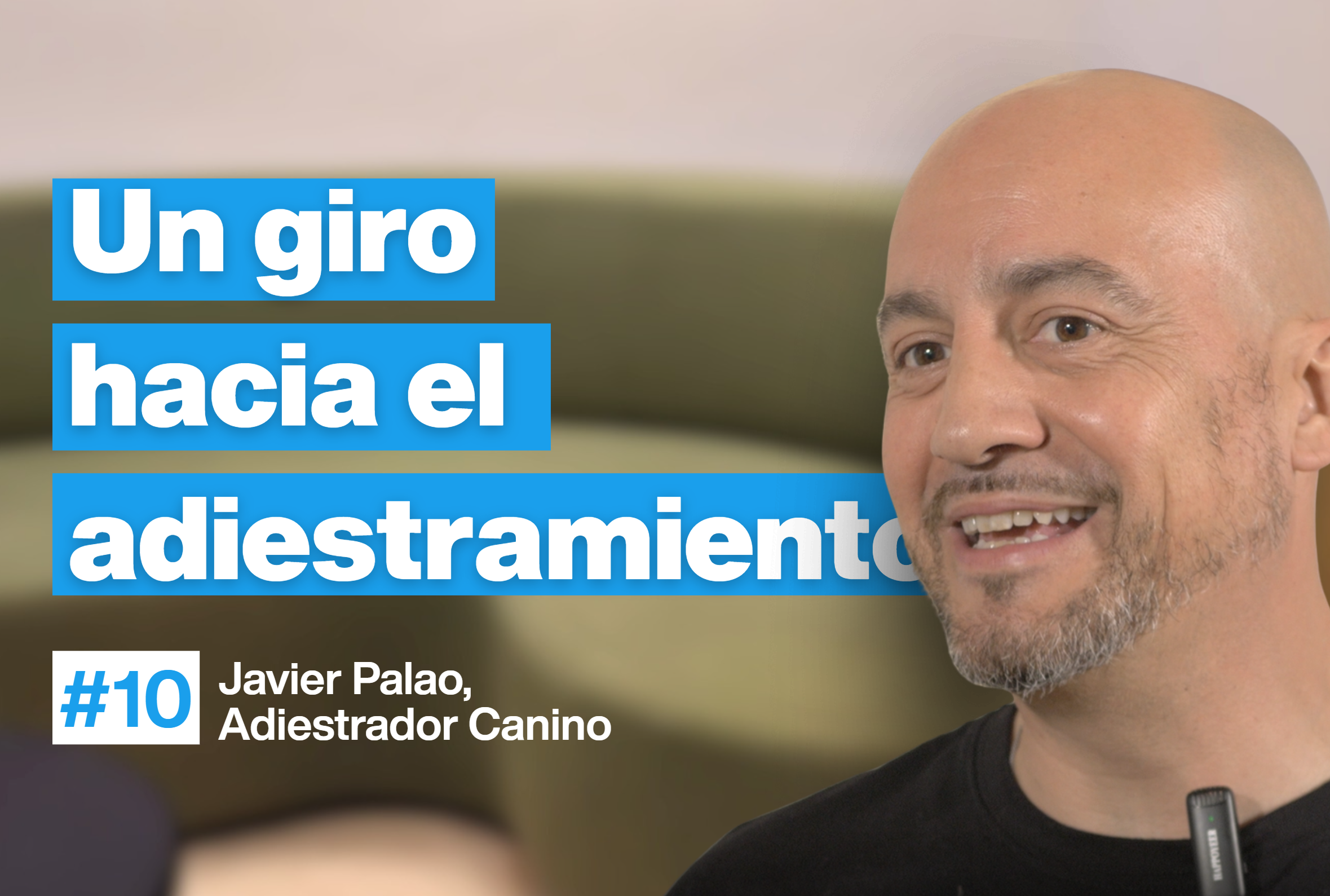 Javier Palao: El diseñador gráfico que dio un giro de 180º hacia el Adiestramiento Canino