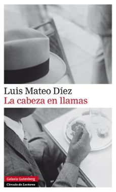 La Cabeza en Llamas, Luis Mateo Diez