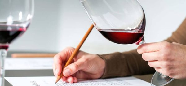 WSET Niveau 3 en Vin - Formule Classique